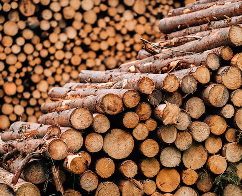 EcoForst_Holzhandel