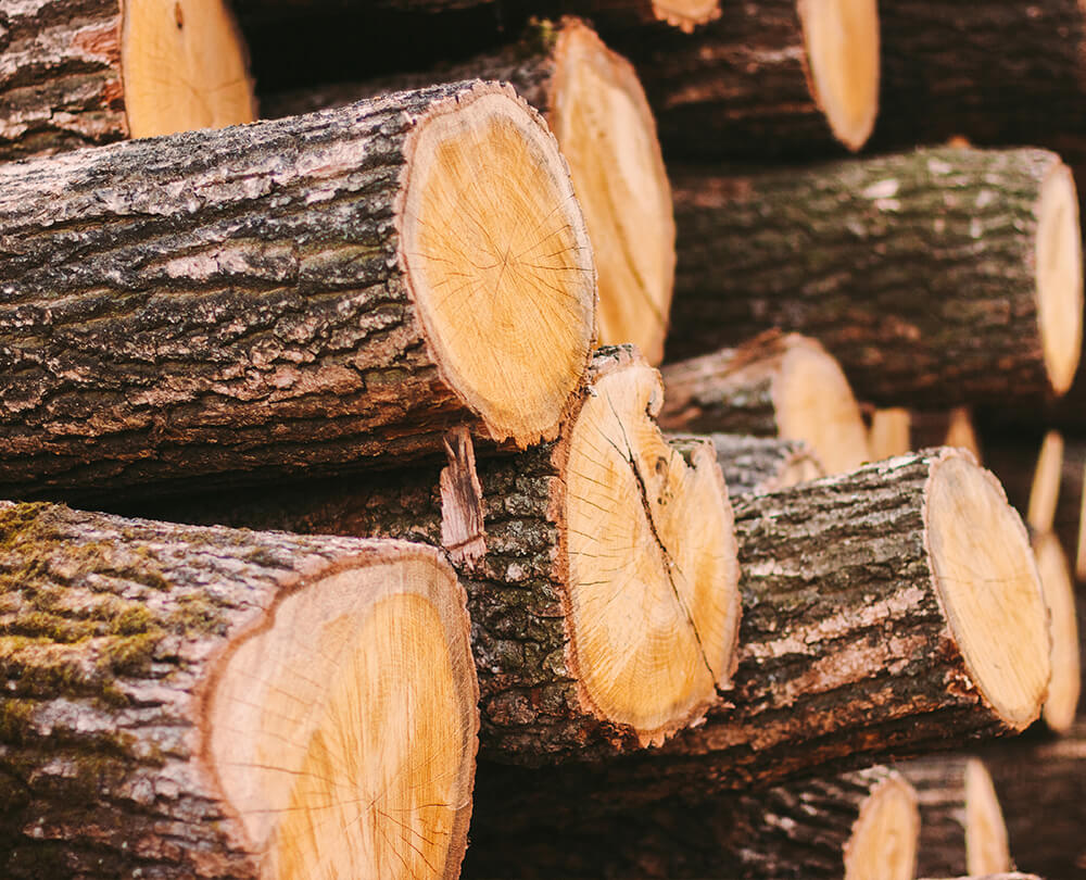 hardwood